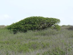 283415_10150265621174901_4485877_n